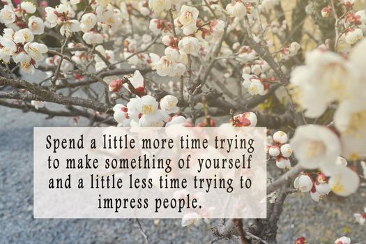 Motivational and inspirational quote on image of Sakura Tree - Spend a little more time trying to make something of yourself and a little less time trying to impress people.
