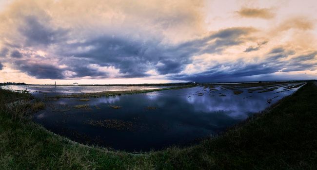 Flooded rice field for sowing with clouds, Albufera Valencia, panoramic photo, storm, sunset, typical houses, solitary. Grey sky