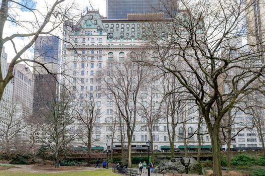 The Plaza Hotel, New York City during winter with trees and tree branches in forefront, People walking in Central Park, focus on background, horizontal