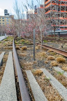 Railroad Track with trees and pink blossom at the High Line Rooftop Park, New York City during sunny winter day, vertical