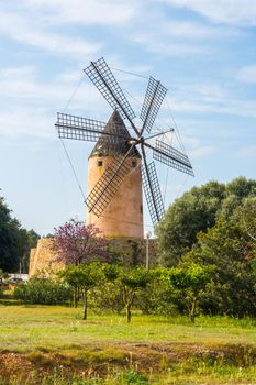 Typical wind mill, Majorca