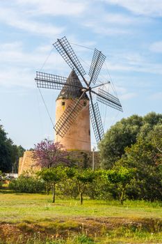 Typical wind mill, Majorca