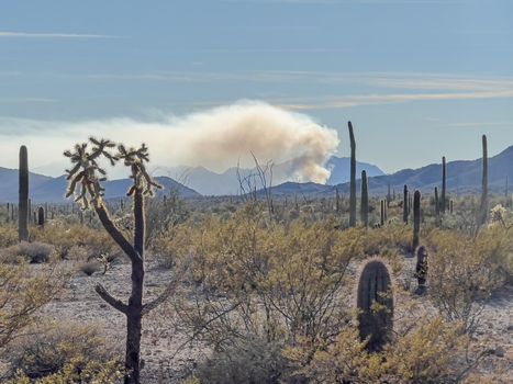 Brush fire in the Arizona desert produces a plume of smoke