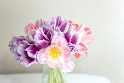 A bouquet of open pink and purple tulips on a white table. close up. Copy space.