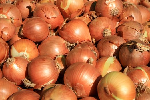 Onions for sale at a farmer market stall in Spain