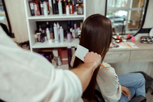 Hairstylist brushing long and shiny brown hair of young woman at beauty salon. Hair care