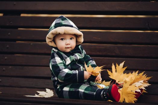 Portrait of adorable baby wearing hood and warm checked overall looking at camera calmly sitting on bench with colored autumnal leaves. Baby holding yellow leaves sitting on wooden bench in the park.
