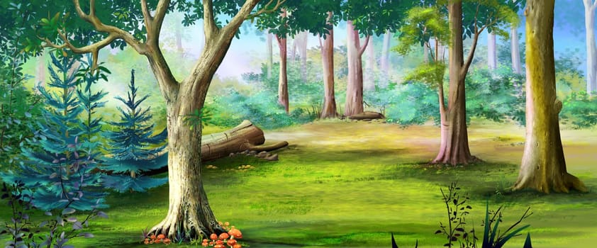 Forest glade on a sunny summer day. Digital Painting Background, Illustration.