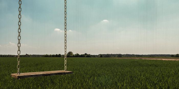 3d illustration of an old wooden swing 