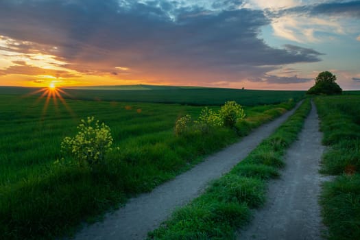 Dirt road through fields and sunset sky, Staw, Poland