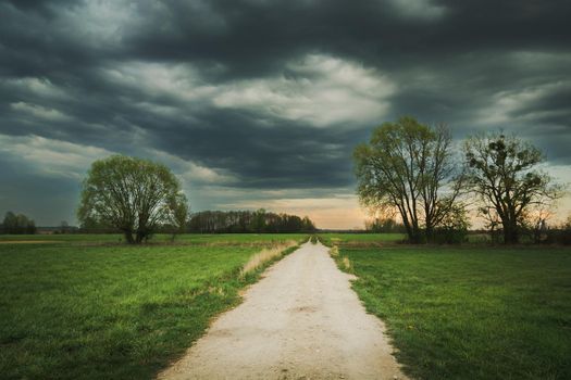 The road through meadows with trees and dark clouds, spring day