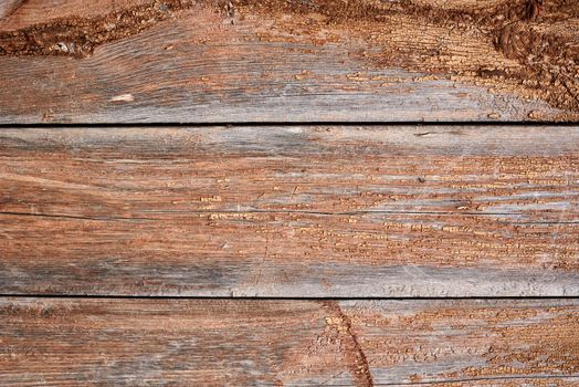 Old wood texture. Dark grunge wooden planks background