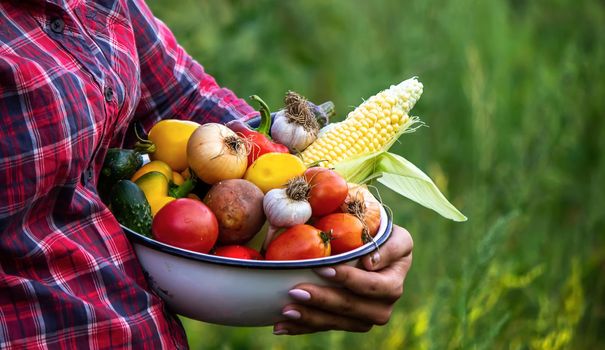 woman in the garden with vegetables in her hands. selective focus. nature.