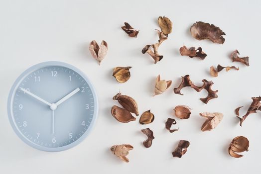 Alarm clock with dried petals on white background, top view. Minimal flat lay style