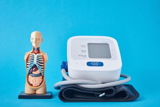 Digital blood pressure monitor and anatomical human model on blue background, closeup. Helathcare and medicine concept