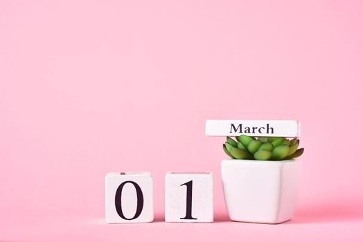 Wooden block calendar with date 1st march and plant on pink background. Spring concept