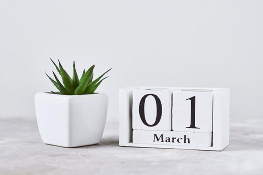 Wooden block calendar with date 1 march and plant on table. Spring concept