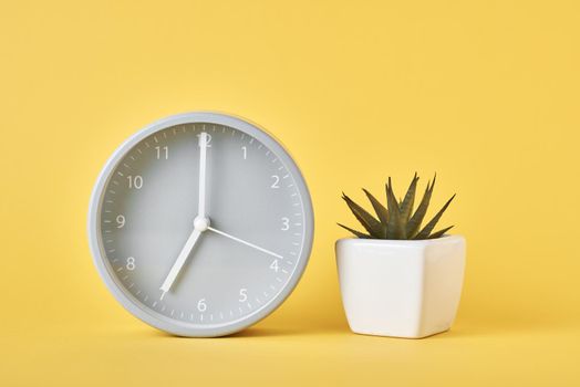 Alarm clock and plant in pot on yellow background, closeup