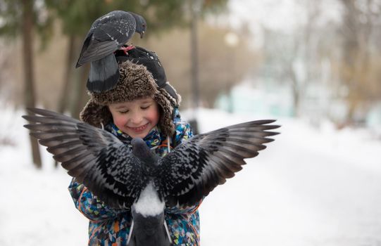 A child feeds pigeons from a winter hand. Feeding the birds.