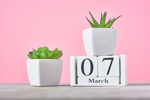 Wooden block calendar with date 7 march and plant on pink background