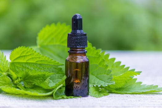 tincture of nettle in a bottle and fresh leaves isolated with shadows on a light background, medicinal herb for overweight, diabetes and renal weakness, selected focus, shallow depth of field