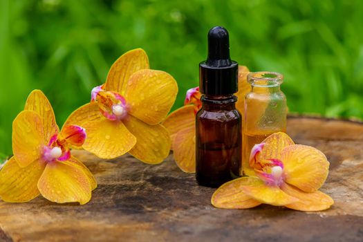 bottles with essential oils and orchid in Minsk on a wooden background. Natural perfume. Selective focus