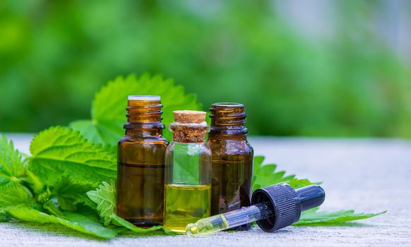 tincture of nettle in a bottle and fresh leaves isolated with shadows on a light background, medicinal herb for overweight, diabetes and renal weakness, selected focus, shallow depth of field