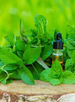 bottle of essential oil Peppermint with fresh mint leaves, herbal scent in a dark glass jar. On the stump. Aromatherapy concept. Selective focus