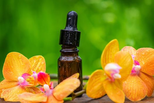 bottles with essential oils and orchid in Minsk on a wooden background. Natural perfume. Selective focus