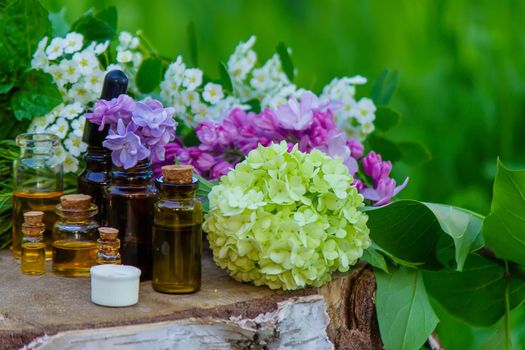 essential oils and medicinal flowers, herbs. Nature. Selective focus