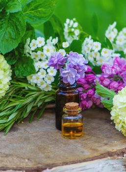 essential oils and medicinal flowers, herbs. Nature. Selective focus