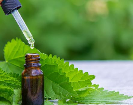 tincture of nettle in a bottle and fresh leaves isolated with shadows on a light background, medicinal herb for overweight, diabetes and renal weakness, selected focus, shallow depth of field