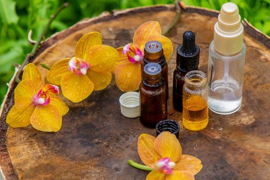 bottles with essential oils and orchid in Minsk on a wooden background. Natural perfume. Selective focus