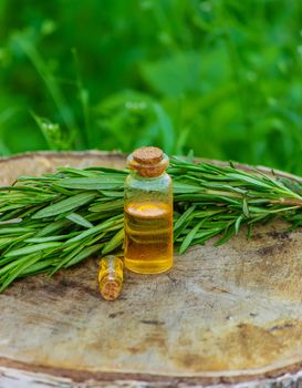 A bottle of rosemary oil on a tree stump. Essential oil, natural remedies. Nature. Selective focus