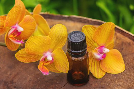 Massage oil and stones with yellow orchid. Natural oils. Selective focus.