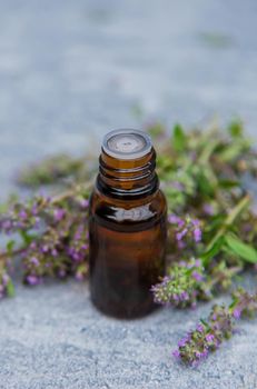 Thyme extract essential oil. Selective focus. nature green.