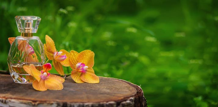 bottles with essential oils and orchid in Minsk on a wooden background. Natural perfume. Selective focus