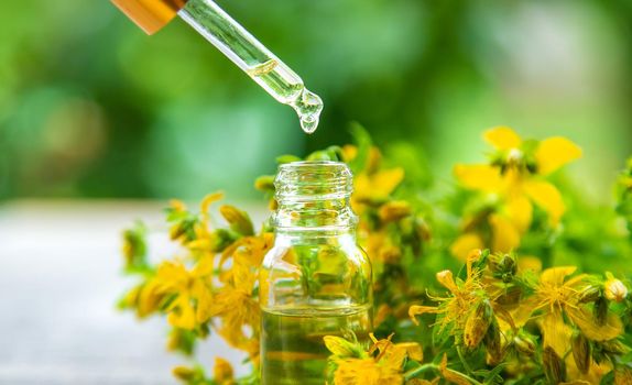 An essential oil extract of St. John's wort herb. Selective focus. Nature.