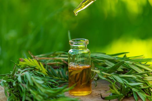 Rosemary oil bottle on wooden background. Essential oil, natural remedies. Nature. Selective focus