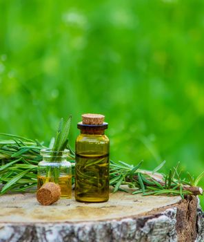 A bottle of rosemary oil on a tree stump. Essential oil, natural remedies. Nature. Selective focus