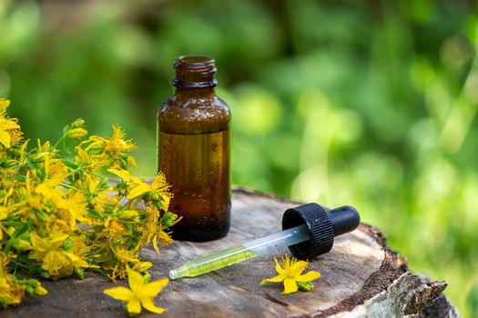 St. John's wort flower oil in a glass bottle. on a wooden background. Selective focus