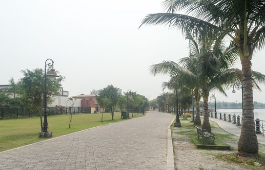 Coconut palm trees along the lake in public park- natural landscape background in sunset summer. Eco tourism park Kolkata India South Asia