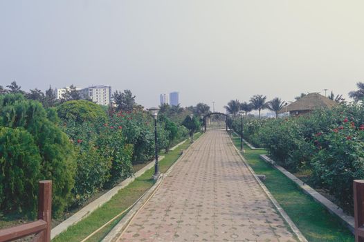 Brick road footpath along the garden trees on a public park- natural landscape background in sunset summer. Eco tourism park Kolkata India South Asia