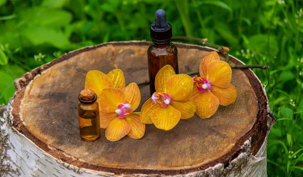 bottles with essential oils and orchid in Minsk on a wooden background. Natural perfume. Selective focus