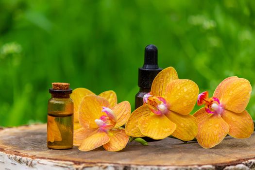 bottles with essential oils and orchid in Minsk on a wooden background. Natural perfume. Selective focus