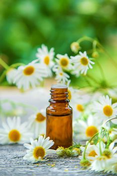 Essential oil extract of medicinal chamomile. Selective focus. Nature.