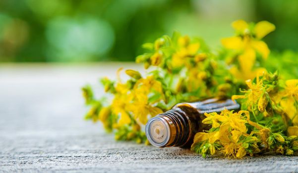 An essential oil extract of St. John's wort herb. Selective focus. Nature.