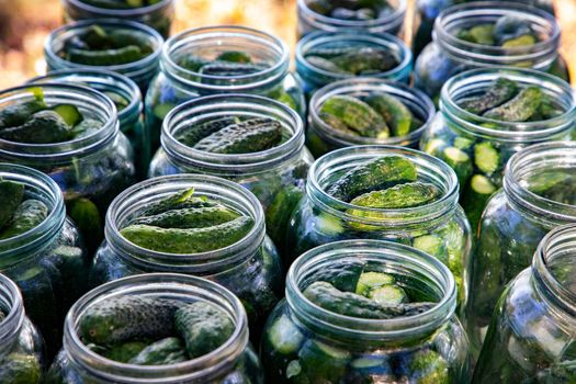 the process of canning pickled gherkins for the winter, pickles cucumbers in glass jars 