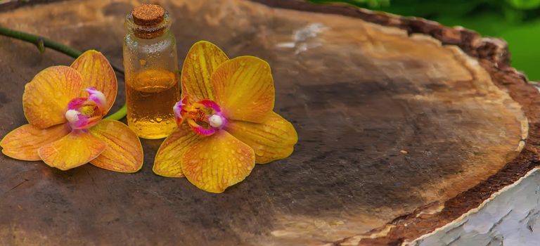 bottles with essential oils and orchid in Minsk on a wooden background. Natural perfume. Selective focus