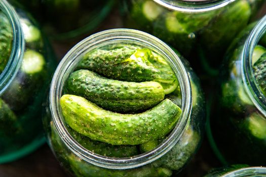 the process of canning pickled gherkins for the winter, pickles cucumbers in glass jars close up